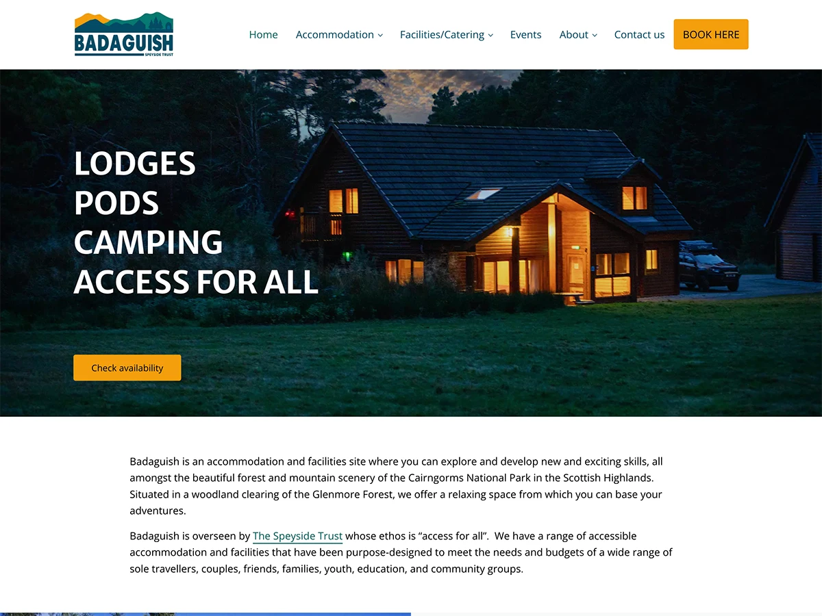 Screenshot of the home page of Badaguish's website.